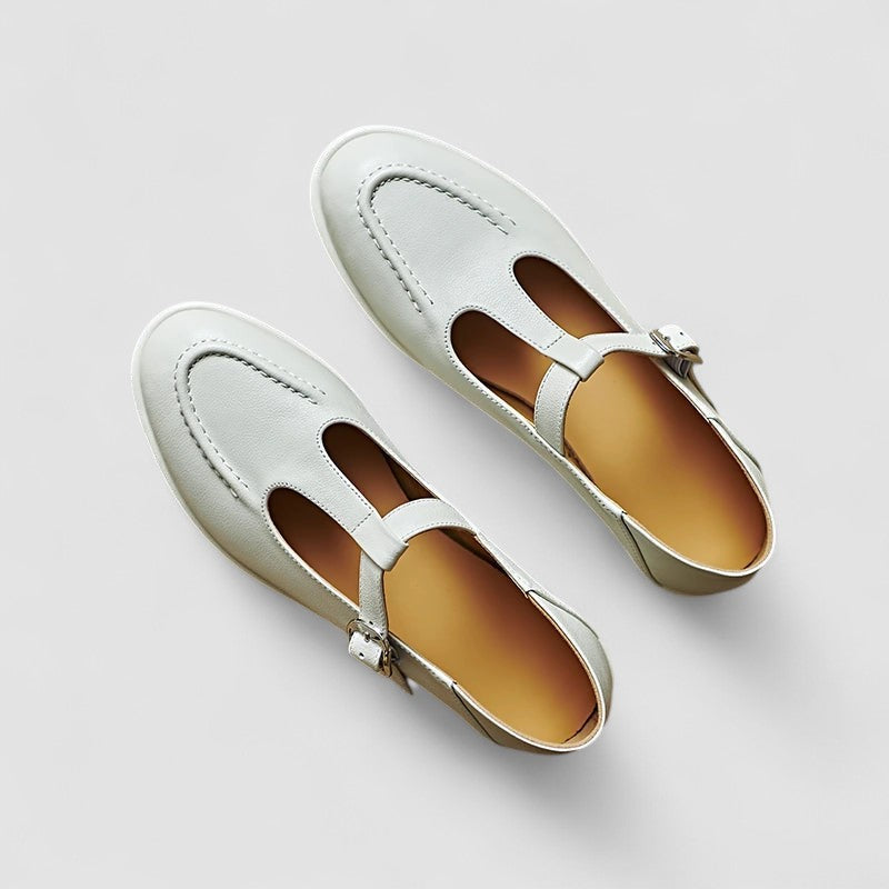 Ariyzzah | Women's Low Block Heel Mary Jane Shoes, Cushioned Strap Comfort Shoes